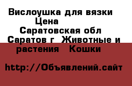 Вислоушка для вязки › Цена ­ 1 300 - Саратовская обл., Саратов г. Животные и растения » Кошки   